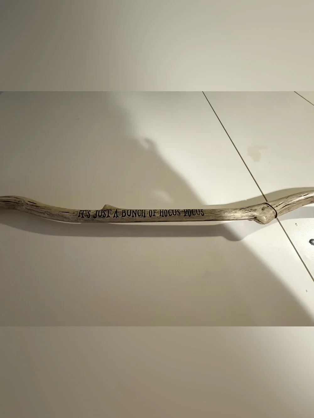 Hocus pocus broom